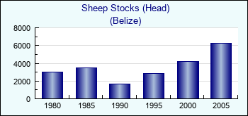 Belize. Sheep Stocks (Head)