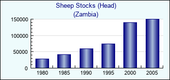 Zambia. Sheep Stocks (Head)