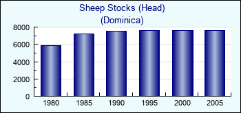 Dominica. Sheep Stocks (Head)