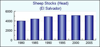 El Salvador. Sheep Stocks (Head)