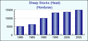 Honduras. Sheep Stocks (Head)