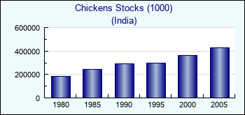 India. Chickens Stocks (1000)