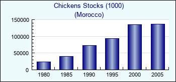 Morocco. Chickens Stocks (1000)