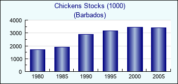 Barbados. Chickens Stocks (1000)