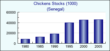 Senegal. Chickens Stocks (1000)