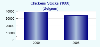 Belgium. Chickens Stocks (1000)
