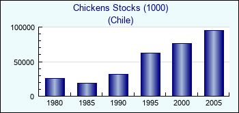 Chile. Chickens Stocks (1000)