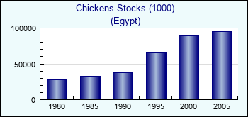 Egypt. Chickens Stocks (1000)