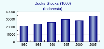 Indonesia. Ducks Stocks (1000)