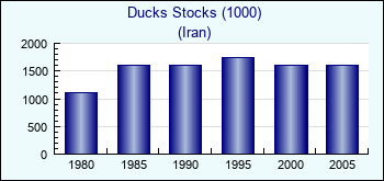 Iran. Ducks Stocks (1000)