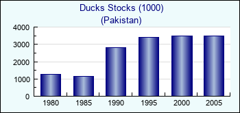 Pakistan. Ducks Stocks (1000)
