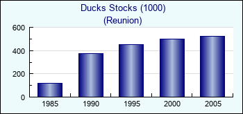 Reunion. Ducks Stocks (1000)