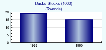 Rwanda. Ducks Stocks (1000)