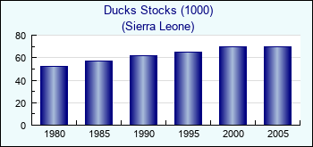Sierra Leone. Ducks Stocks (1000)