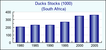 South Africa. Ducks Stocks (1000)