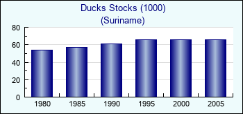 Suriname. Ducks Stocks (1000)