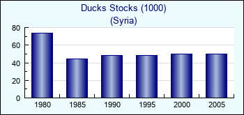 Syria. Ducks Stocks (1000)