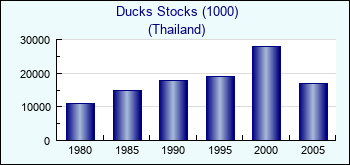Thailand. Ducks Stocks (1000)