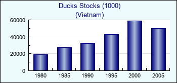 Vietnam. Ducks Stocks (1000)