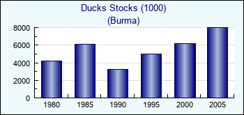 Burma. Ducks Stocks (1000)