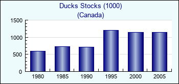 Canada. Ducks Stocks (1000)