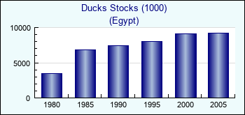 Egypt. Ducks Stocks (1000)
