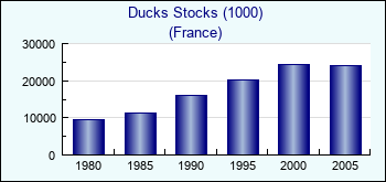 France. Ducks Stocks (1000)