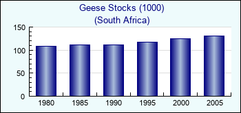 South Africa. Geese Stocks (1000)