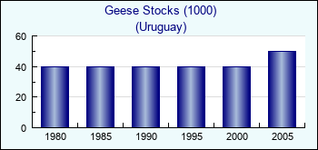 Uruguay. Geese Stocks (1000)