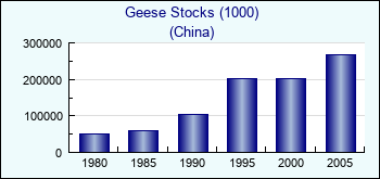 China. Geese Stocks (1000)