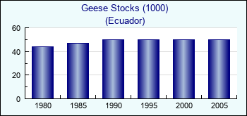 Ecuador. Geese Stocks (1000)