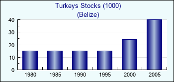 Belize. Turkeys Stocks (1000)