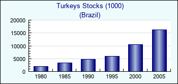 Brazil. Turkeys Stocks (1000)