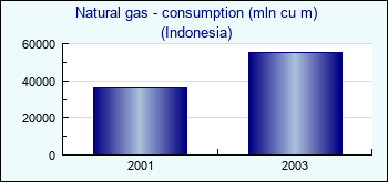 Indonesia. Natural gas - consumption (mln cu m)